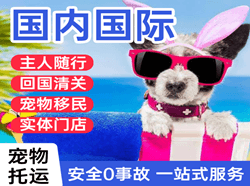 宁远机场货运国际宠物托运 【国